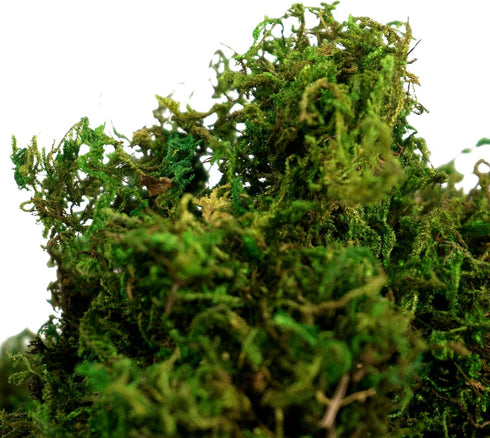 BYHER Artificial Moss, Fake Green Grass for Centerpieces, Home Kitchen Garden Decor (8OZ, Fresh)