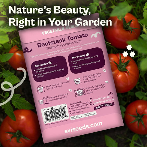 350 Packets SVI Determinate Beefsteak Tomato Seeds (Solanum lycoperscium) Beefsteak Tomatoes Seed Beef Steak Tomatoes