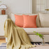 NiNi ALL Outdoor Waterproof Throw Pillow Covers Set of 2, Decorative Farmhouse Garden Pillowcase 22x22 inch Orange