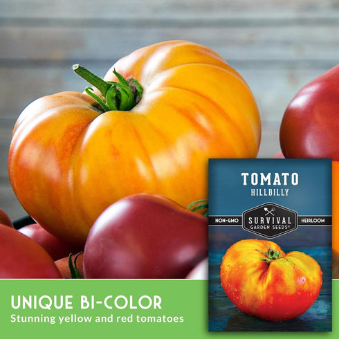 Hillbilly (1 Pack) Tomato Seeds for Planting - Heirloom Yellow-Red Bi-Color Beefsteak Variety, Sweet Low-Acid Flavor