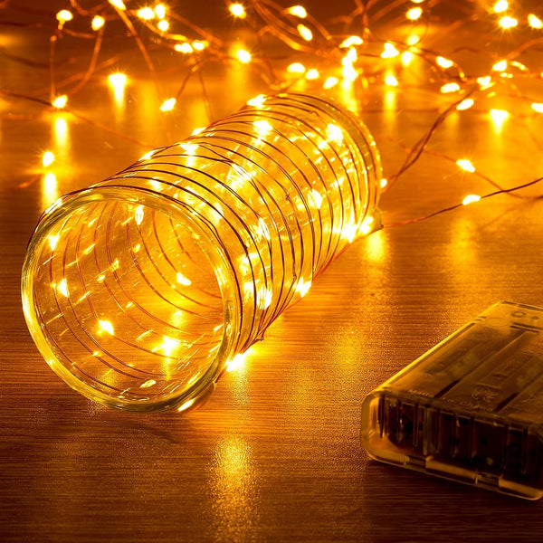Ariceleo 1 Pack 16.4ft Battery Operated String Lights with Timer, Warm White