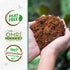 12 Back to The Roots Organic Seed Starting, Compressed Block expands to Quarts, Made for Herbs, Veggies, Flowers