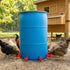 30 Pack 3/8 Inch Cedilis Chicken Water Cup, Automatic Drinking Cups for Chickens, Thread Poultry Water Cups, Chicken