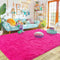 Ultra Soft Fluffy Hot Pink Rugs, 4x6 Feet Shag Area Rug for Bedroom and Living Room Decor
