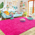 Ultra Soft Fluffy Hot Pink Rugs, 4x6 Feet Shag Area Rug for Bedroom and Living Room Decor