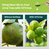 HiThrive 32oz 32 Lime Tree Fertilizer - Citrus Fertilizer for Lime Trees Live Plants - Makes Gallons of Liquid Fruit