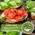 Packet (1) Sow Right Seeds - Rutgers Tomato Seeds for Planting - Non-GMO Heirloom with Instructions to Plant and Grow