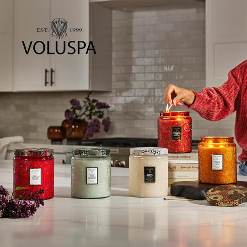 Voluspa Goji Tarocco Orange Petite Candle Jar, 3.2 oz, 25 Hour Burn Time, Handcrafted in the USA
