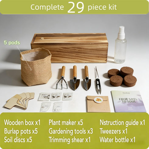 5 Herb Garden Kit with Wooden Box - Including Basil, Thyme, Parsley, Rosemary, Mint - Windowsill Herb Garden