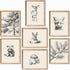 Pouydmi Nursery Wall Art Woodland Animal Canvas Wall Decor Baby Room Pictures Forest