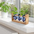 Plant Terrarium Propagation Stations Hydroponics Home Garden Decoration Gift for Women with Wooden Stand Heart Shaped