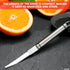 Grapefruit Knife with Curved Serrated Blade, Small Kitchen Cutter for Fruit Slicing, Stainless Steel Knife