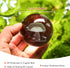 3D 60mm HDCRYSTALGIFTS Mushroom Crystal Ball Laser Engraved Decorative Ball Glass Sphere with Stand Paperweight