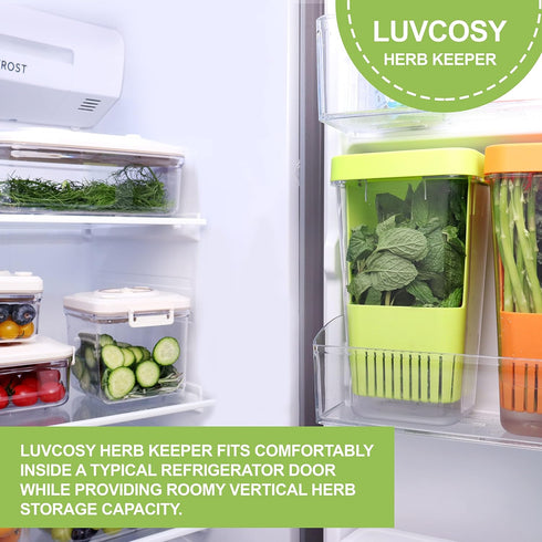 Herb Keeper 1Pcs, BPA-Free Plastic Herb Saver with Inner Basket for Cilantro, Mint, Parsley, Asparagus, Keeps Fresh