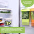 Herb Keeper 1Pcs, BPA-Free Plastic Herb Saver with Inner Basket for Cilantro, Mint, Parsley, Asparagus, Keeps Fresh