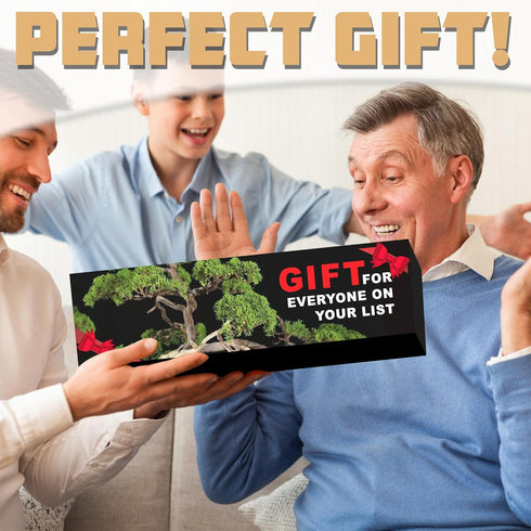 5 Indoor Bonsai Garden Starter Kit, Seeds Growing into Red Maple, Wisteria, Black Pine, Judas Tree, Acacia, Including