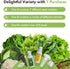 18-pods, 350+ LYKOCLEAN Salad Buttercrunch Lettuce Seeds for AeroGarden, iDOO, Ahopegarden Hydroponics Growing System