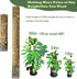 chicarry 6.6/13.2/26.4ft 2Pcs 8.3in3.3ft (6.6ft Moss Pole DIY Kit, Metal Moss Pole for Plants Monstera, Steel Mesh