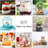 Small Mason Jars 8oz/240ml with Regular Lids, 6 Pack - Glass Canning Jars for Jam, Spice, Honey, Herbs