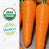 100% Packet 420mg Back to The Roots Organic Seed - Carrot 'Chantenay Red Cored'