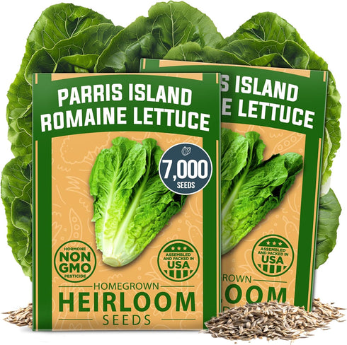 HOME GROWN Romaine Lettuce Seeds, Paris Island Bulk Pack, 7000+ Lettuce Seeds