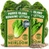 HOME GROWN Romaine Lettuce Seeds, Paris Island Bulk Pack, 7000+ Lettuce Seeds