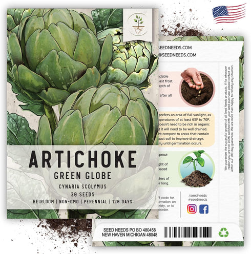 (2 Packs) Seed Needs Artichoke Seeds for Planting Green Globe Artichokes - Non-GMO Heirloom & Untreated - Grow an