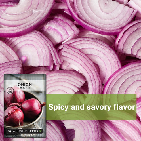 Packet Sow Right Seeds - Ruby Red Onion Seeds for Planting - Non-GMO Heirloom with Instructions to Plant a Home