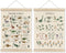 HRQKO Dinosaur Alphabet Poster Hanger Frame Set of 2, Dinosaur Wall Decor,