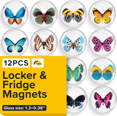 Super Cute Fridge & Locker Magnets – 10 Vibrant Glass Magnets – Strong Hold for Photos, Notes, Recipes, Aesthetic