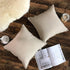 Jeanerlor Set of 2 Decorative Cotton Linen Couch 26"x26" Throw Pillow Case, Durable Classy Cushion Cover for