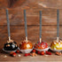 24 Pack Packaging ASTARON Glitter Bling Candy Apple Sticks and Bags, Cake Pop Sticks Kit Including Caramel Apple Sticks