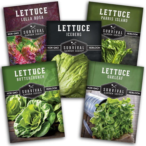 Lettuce Seeds 5-Variety Collection Heirloom Romaine (Parris Island), Buttercrunch, Iceberg, Oakleaf, Lolla