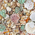 WFPLUS 200+pcs Mixed Sea Shells, Natural Seashells and Starfish for Fish Tank, Home Decorations, DIY Crafts