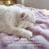 3D Cozy 90"90" Bedsure Fleece Bubble Blanket - GentleSoft Purple Queen Blanket for Bed Sofa Room Decor - Luxury Soft