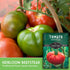 (1 Pack) Beefsteak Tomato Seeds for Planting Heirloom Indeterminate Tomatoes Large Red Fruit with Classic Flavor High