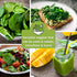 Packets Sow Right Seeds - Spinach Seed Collection for Planting - Viroflay, Malabar & Bloomsdale Spinach - Cold Hardy