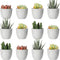 Youngever 24 Pack 5CM Mini Plastic Planters, Indoor Flower Pots, Grey Gardening Pot with Drainage - NO Plant Included