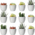 Youngever 24 Pack 5CM Mini Plastic Planters, Indoor Flower Pots, Grey Gardening Pot with Drainage - NO Plant Included