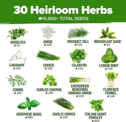 30 10,900+ Pack Set HOME GROWN Herb Seeds for Planting Non-GMO Heirloom Seeds | Extra Large Variety Herb Kit Indoor