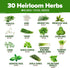 30 10,900+ Pack Set HOME GROWN Herb Seeds for Planting Non-GMO Heirloom Seeds | Extra Large Variety Herb Kit Indoor
