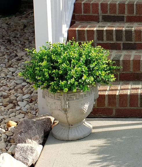 8 Bundles Artificial Greenery Stems Ouddy Decor, UV Resistant Faux Plastic Boxwood for Home Decor