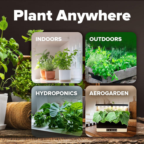 10 2000+ HOME GROWN Variety Survival Seed Vault USA Grown Heirloom Non-GMO Vegetable Seeds for Planting, High