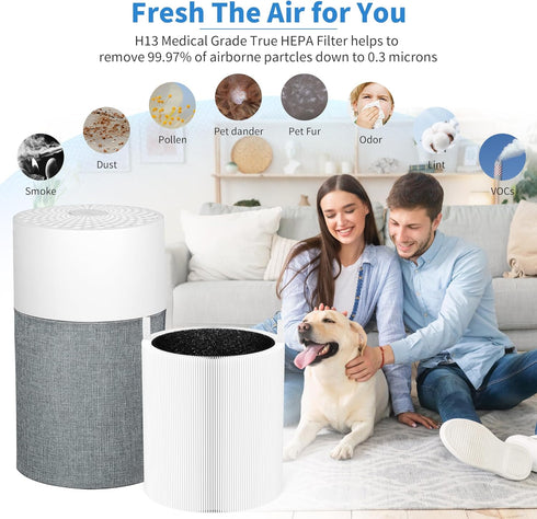 2 Packs Blue Pure 511 HEPA Replacement Filters for Blueair Blue Pure 511 Air Cleaner, H13 True HEPA Filter