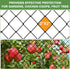 25'x100' 2' Bird Netting - Heavy Duty Nylon Net with Mesh for Garden Protection, Chicken Coop, Fruit Tree, Orchard