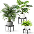 2-Pack Use(10.24" TOSKING Plant Stands - Heavy Duty Low Plant Stand, No Assembly Required Risers for Potted Plants
