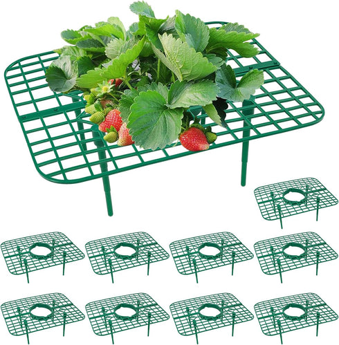 GOONMILL 10 Pack Strawberry Plant Support, Strawberry Planting Stand, Keeping Strawberry Plants