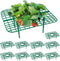 GOONMILL 10 Pack Strawberry Plant Support, Strawberry Planting Stand, Keeping Strawberry Plants
