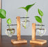 Bulb (D(1 Kingbuy Hydroponic Glass Vase Vintage Desktop Plant Terrarium Planter Vase Water Planting Propagation Vase