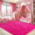 Ultra Soft Fluffy Hot Pink Rugs, 4x6 Feet Shag Area Rug for Bedroom and Living Room Decor